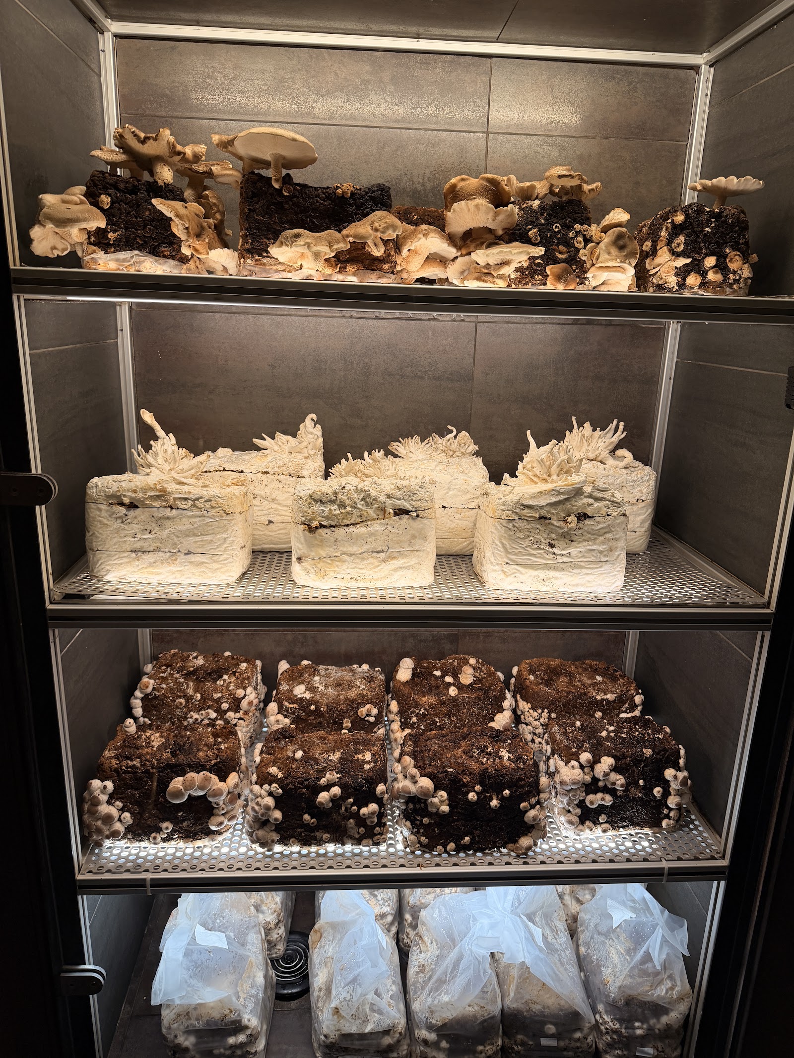 The Ledbury — photo 14